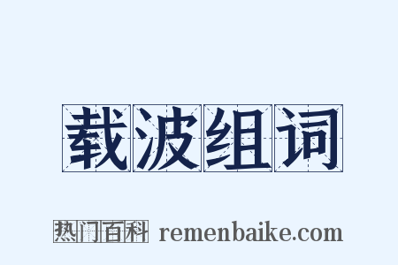 载波组词是什么意思的图片